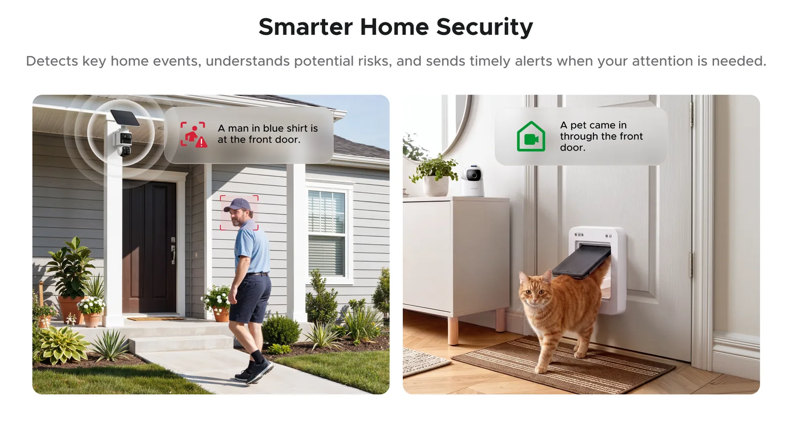 Two HomeAgent camera alerts: one identifying a person at a front door, another identifying a pet coming through a pet door